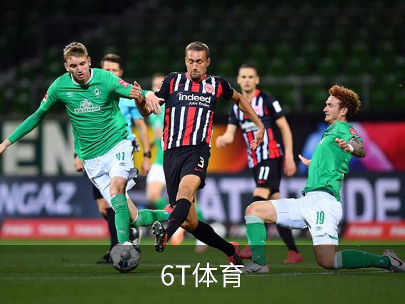 了解6T体育